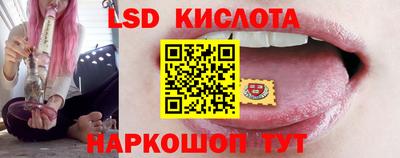 винт Камышлов