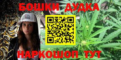 индика Кандалакша
