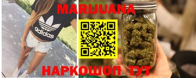индика Кандалакша