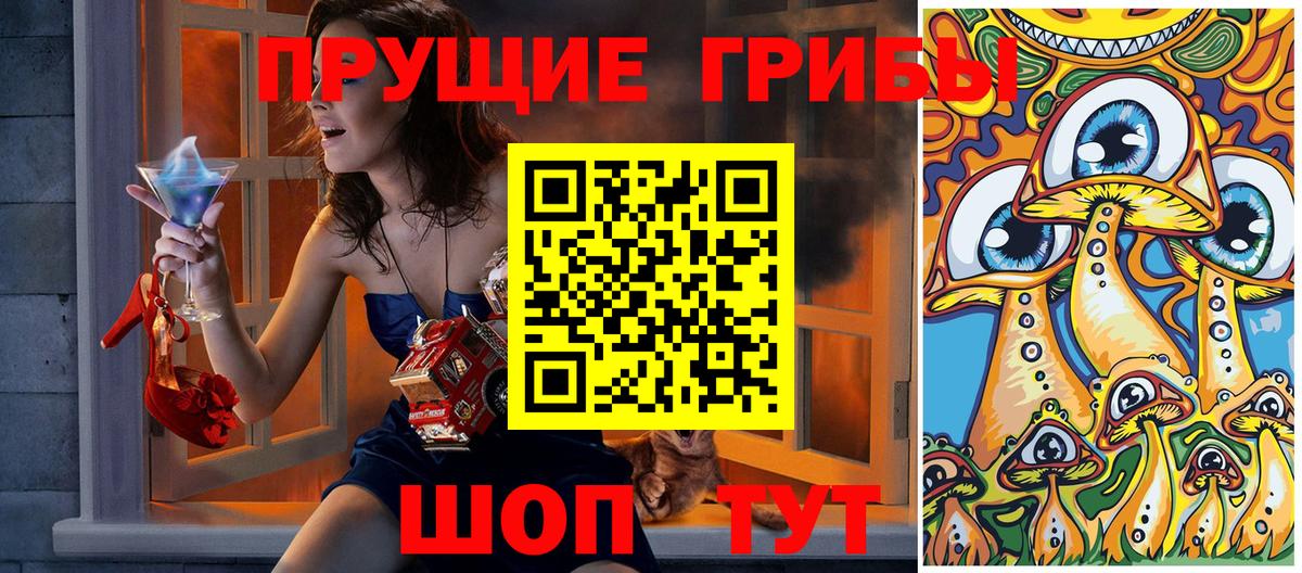 Знаменск  Псилоцибиновые грибы мухоморы  Вход с VPN  Галлюциногенные грибы прущие грибы 